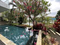 Paradise Island (D4), Detached #466758531